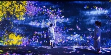 teamLab——風(fēng)靡全球的沉浸式網(wǎng)紅展項(xiàng)體驗(yàn)！